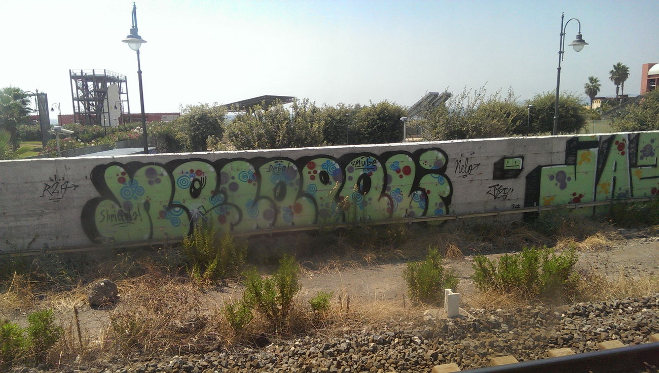 Graffiti Bombing in Pisa - Photo by Kico_one - Pisa, Italy