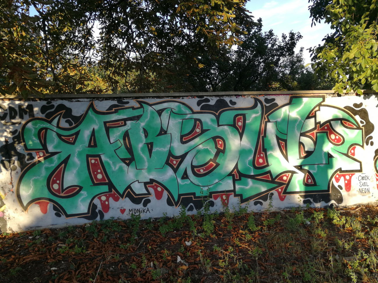 Graffiti Bombing in Osijek - Photo by Kico_one - Osijek, Croatia