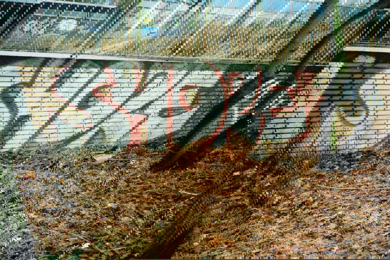 Graffiti Bombing in Essen - Photo by Kico_one - Shore, Rok, Crew (1995)