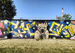 Graffiti Wall in Osijek - Photo by Kico_one (2025)