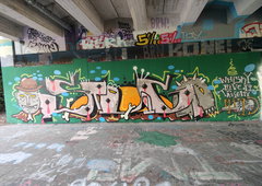 Photo #250550 by TheWallHunter