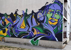 Photo #251759 by DonroSNP