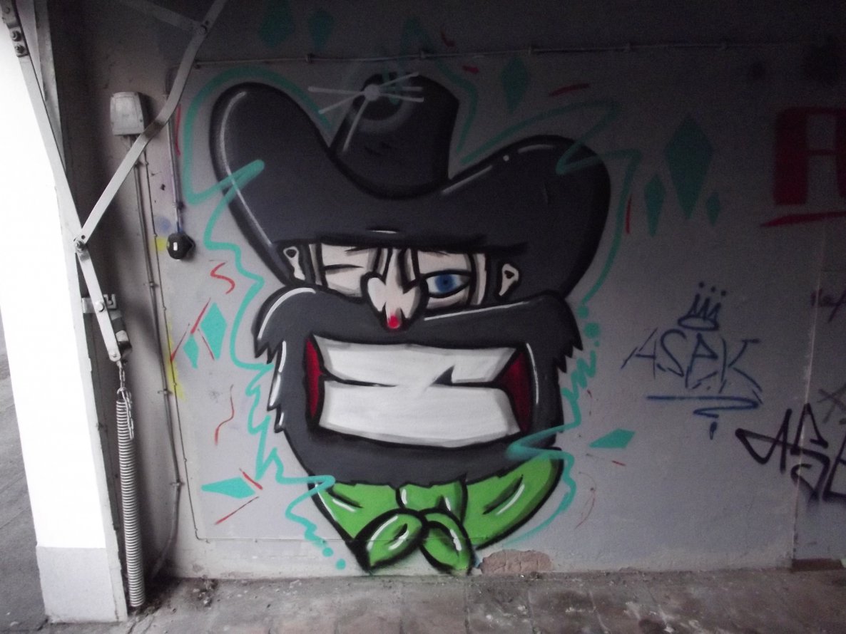 Graffiti Wall - Photo by KillTheSystem