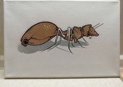 Graffiti Artwork - Photo by Kilo1 - Kilo1 (2025)