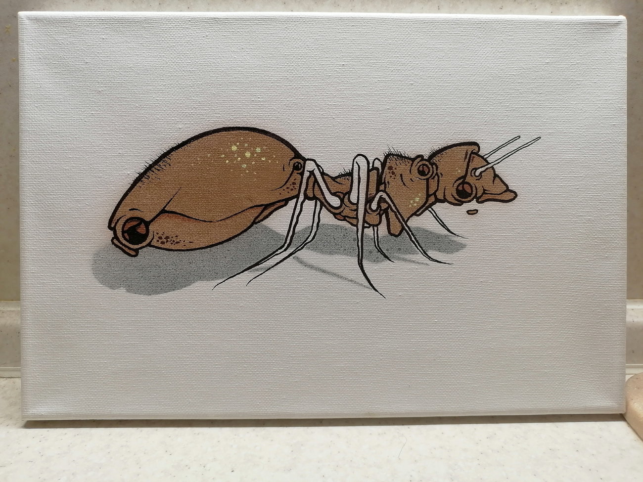 Graffiti Artwork - Photo by Kilo1 - Kilo1 (2025)