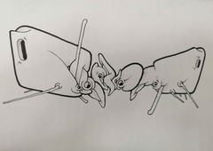 Graffiti Sketch - Photo by Kilo1 - Kilo1