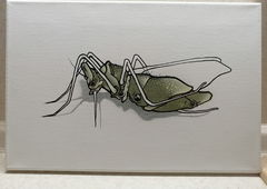 Graffiti Artwork - Photo by Kilo1 - Kilo1 (2025)