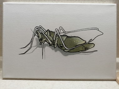 Graffiti Artwork - Photo by Kilo1 - Kilo1 (2025)