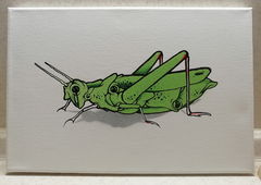 Graffiti Artwork - Photo by Kilo1 - Kilo1 (2025)