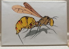 Graffiti Artwork - Photo by Kilo1 - Kilo1 (2025)