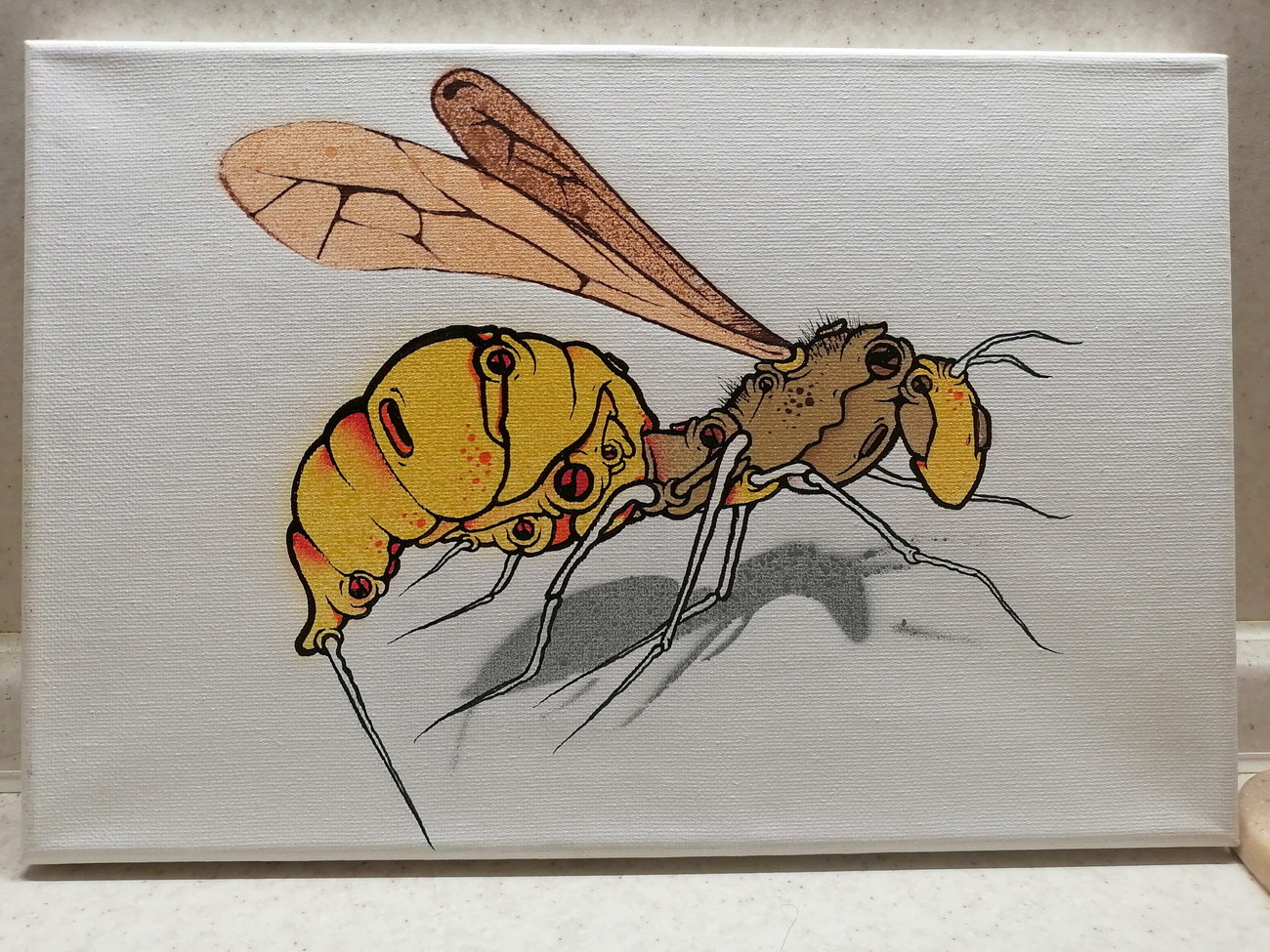 Graffiti Artwork - Photo by Kilo1 - Kilo1 (2025)