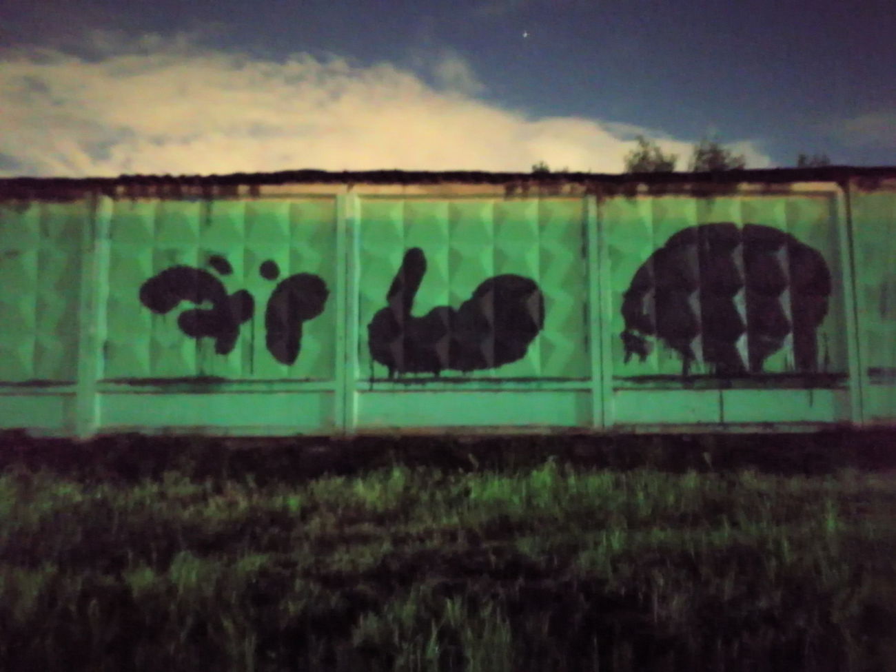 Graffiti Bombing - Photo by Kilo1 - Kilo1 (2025)