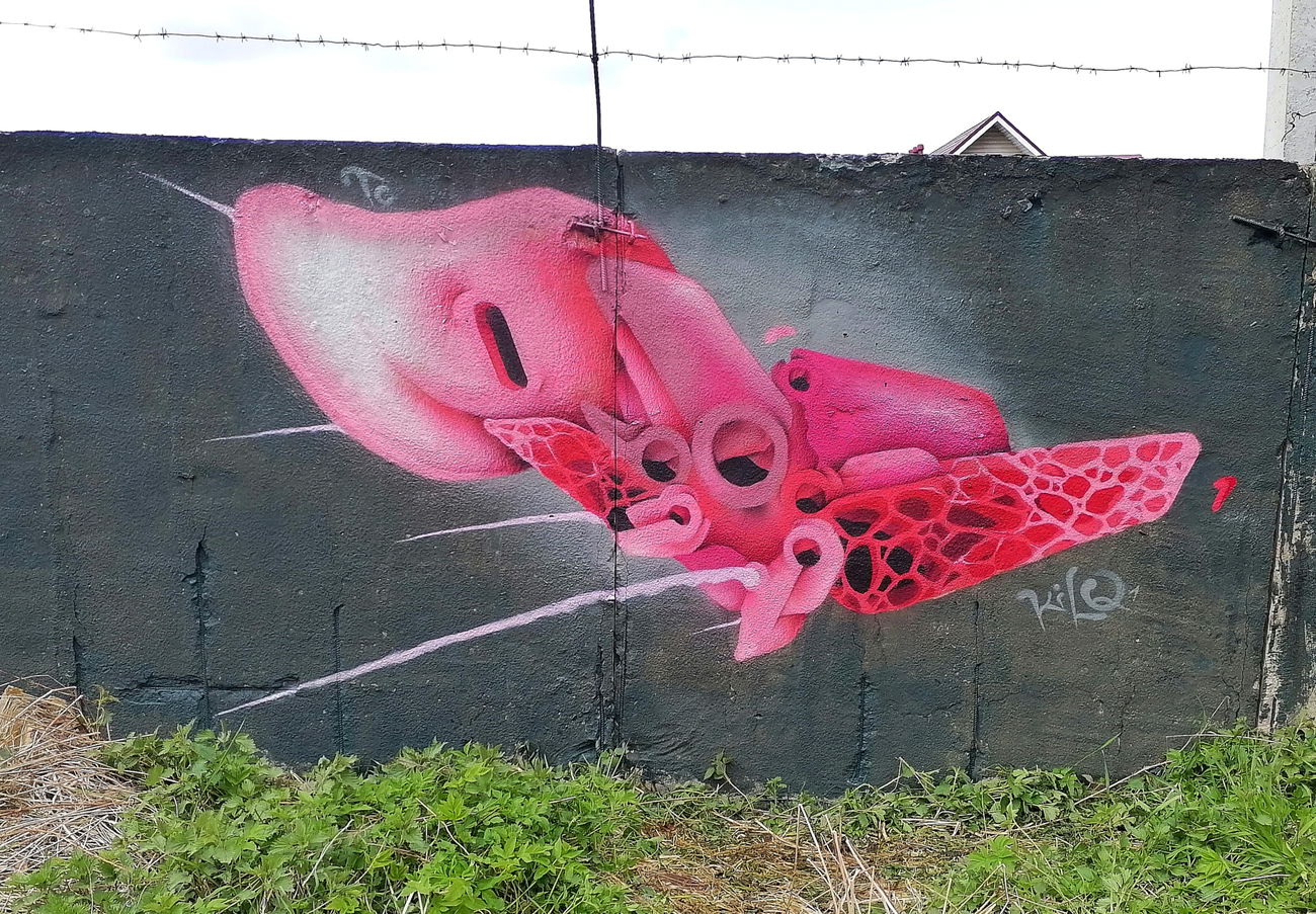 Graffiti Wall - Photo by Kilo1 - Kilo1 (2025)