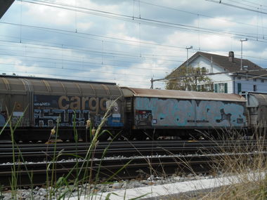 Graffiti Train - Photo by Kimi