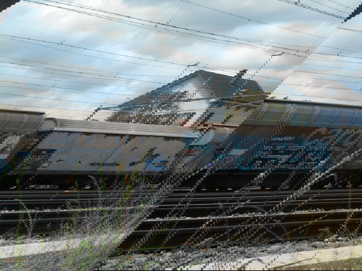 Graffiti Train - Photo by Kimi