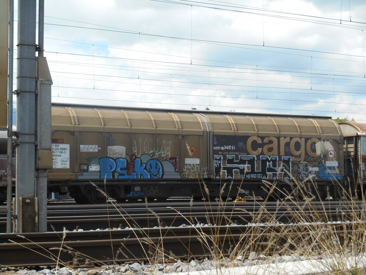 Graffiti Train - Photo by Kimi - psiko, limph