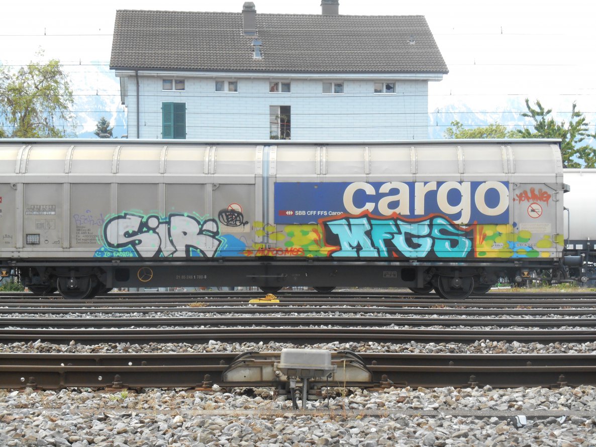 Graffiti Train - Photo by Kimi - MFGS, SIR