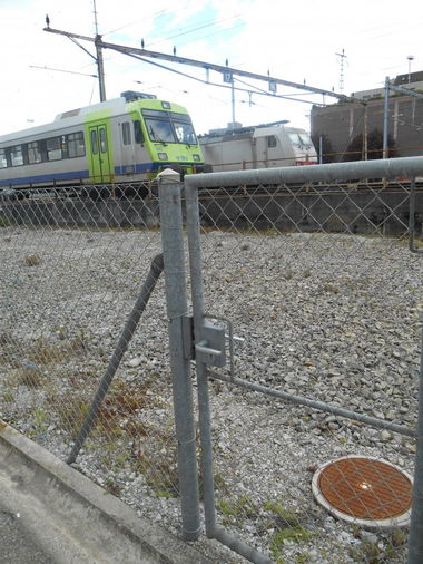 Graffiti Artwork - Photo by Kimi