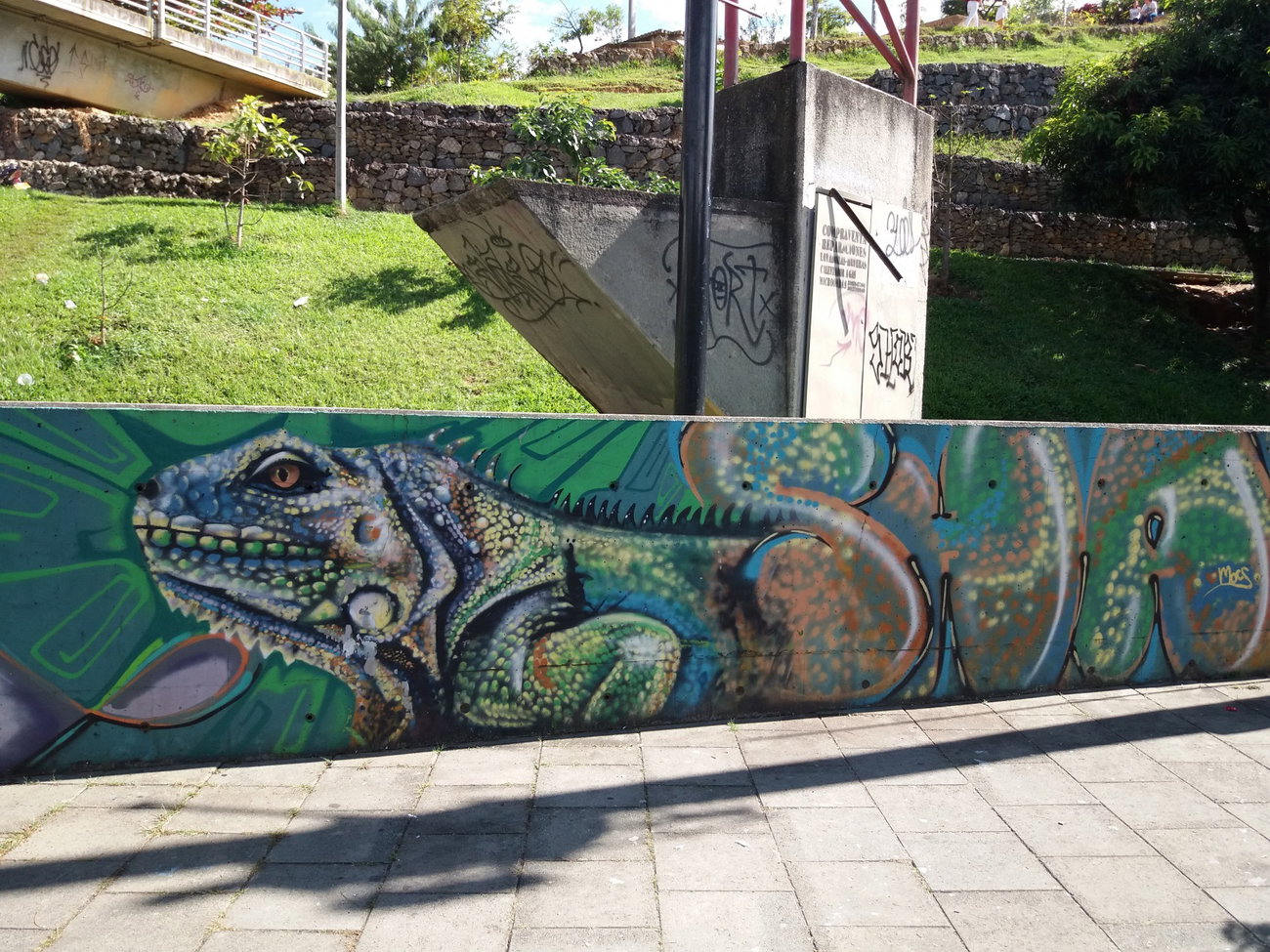 Graffiti Wall - Photo by Kindred