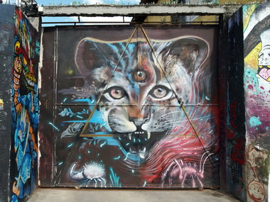 Graffiti Wall - Photo by Kindred