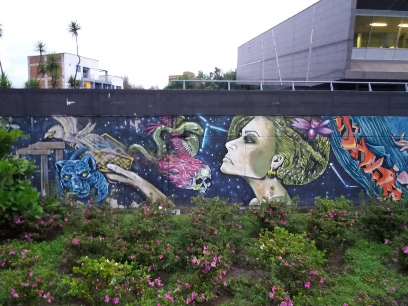 Graffiti Wall - Photo by Kindred