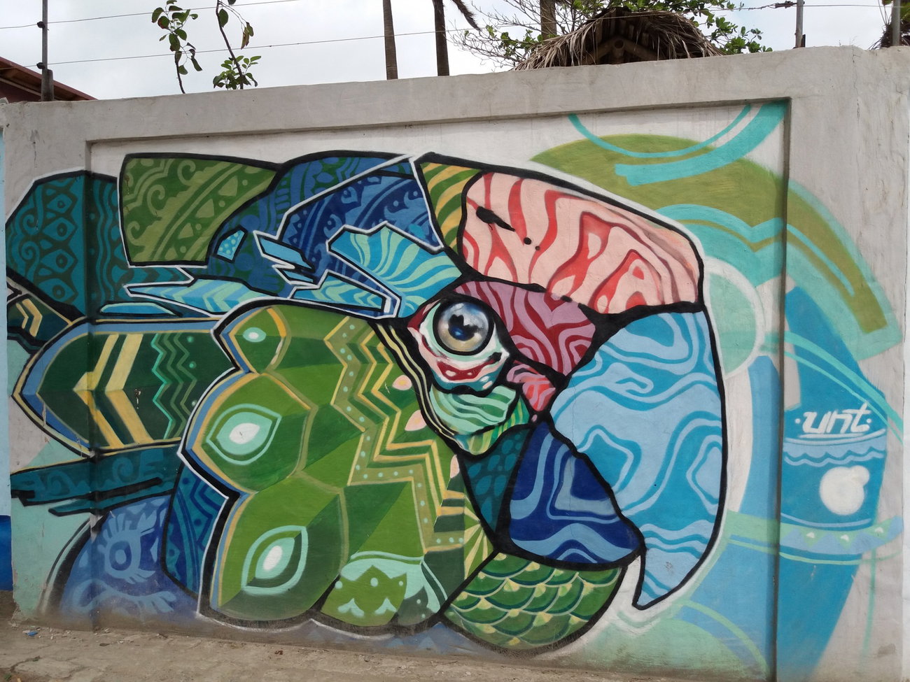 Graffiti Wall - Photo by Kindred