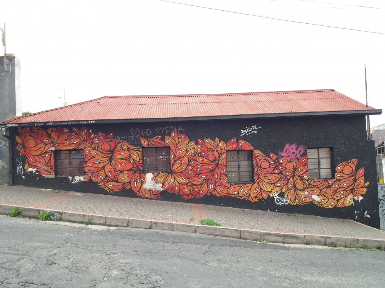 Graffiti Wall - Photo by Kindred