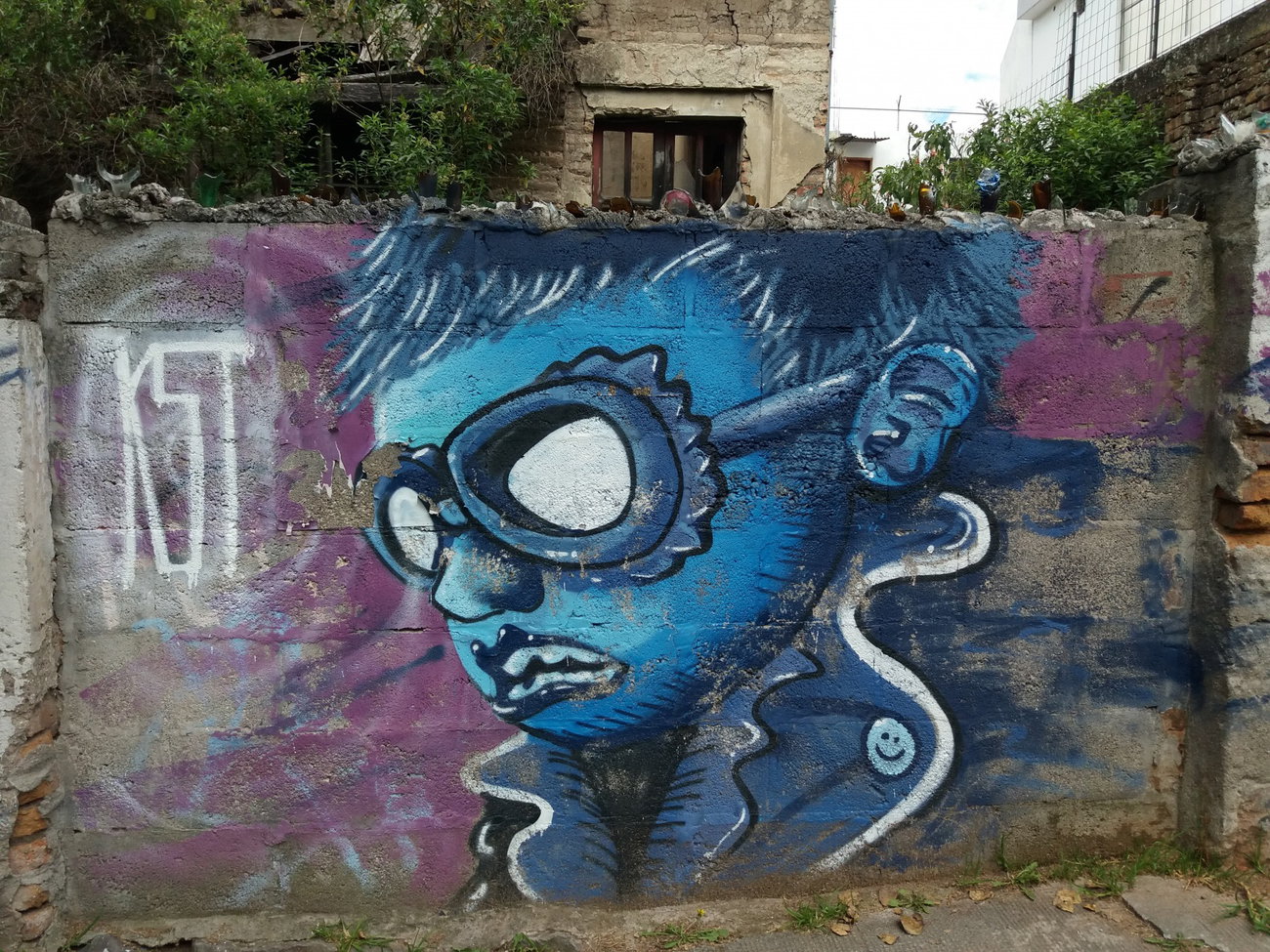 Graffiti Wall - Photo by Kindred