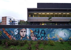 Graffiti Wall - Photo by Kindred