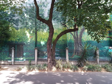 Graffiti Wall - Photo by Kindred