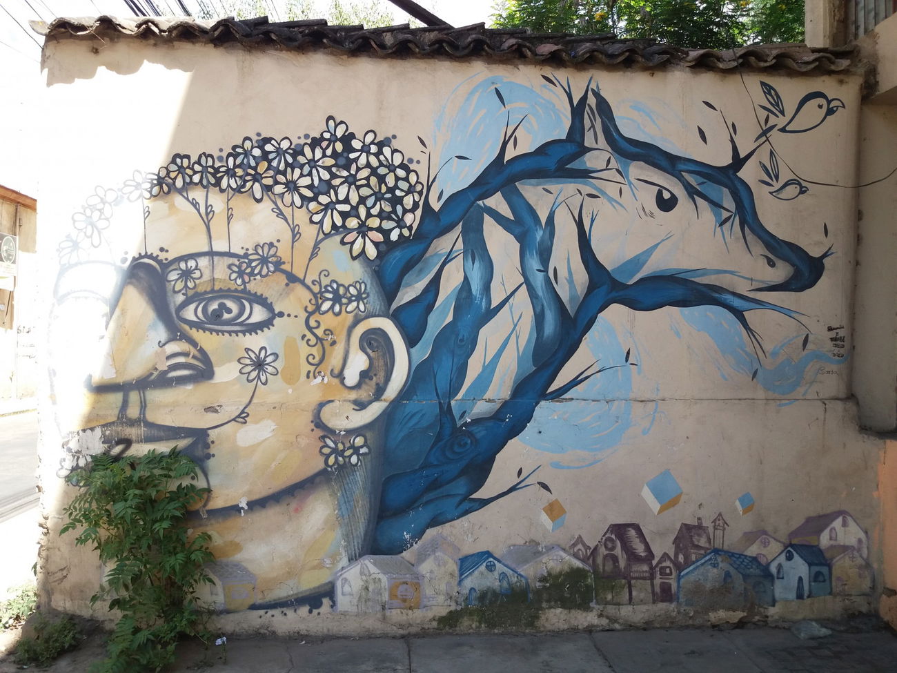 Graffiti Wall - Photo by Kindred