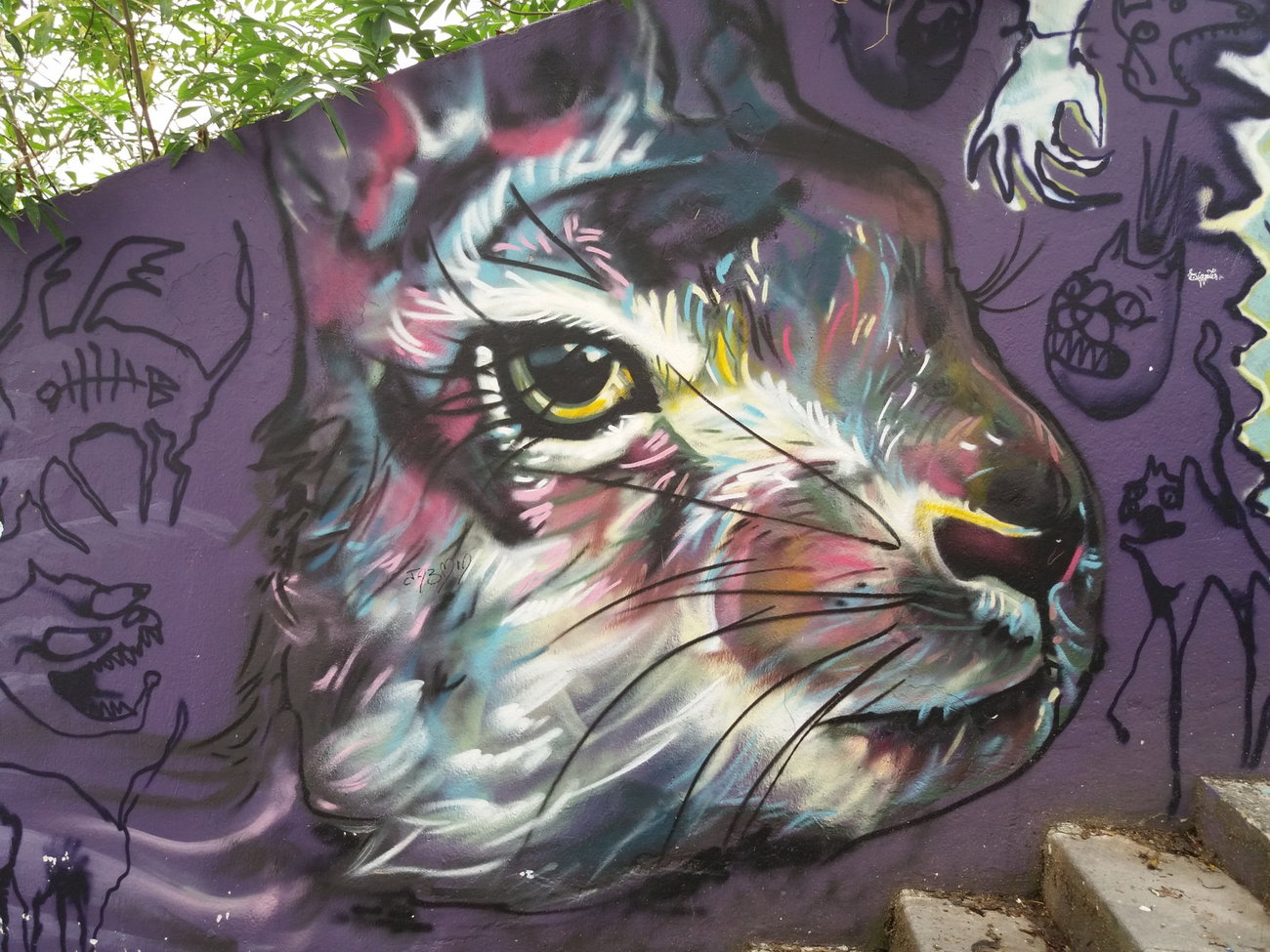 Graffiti Wall - Photo by Kindred