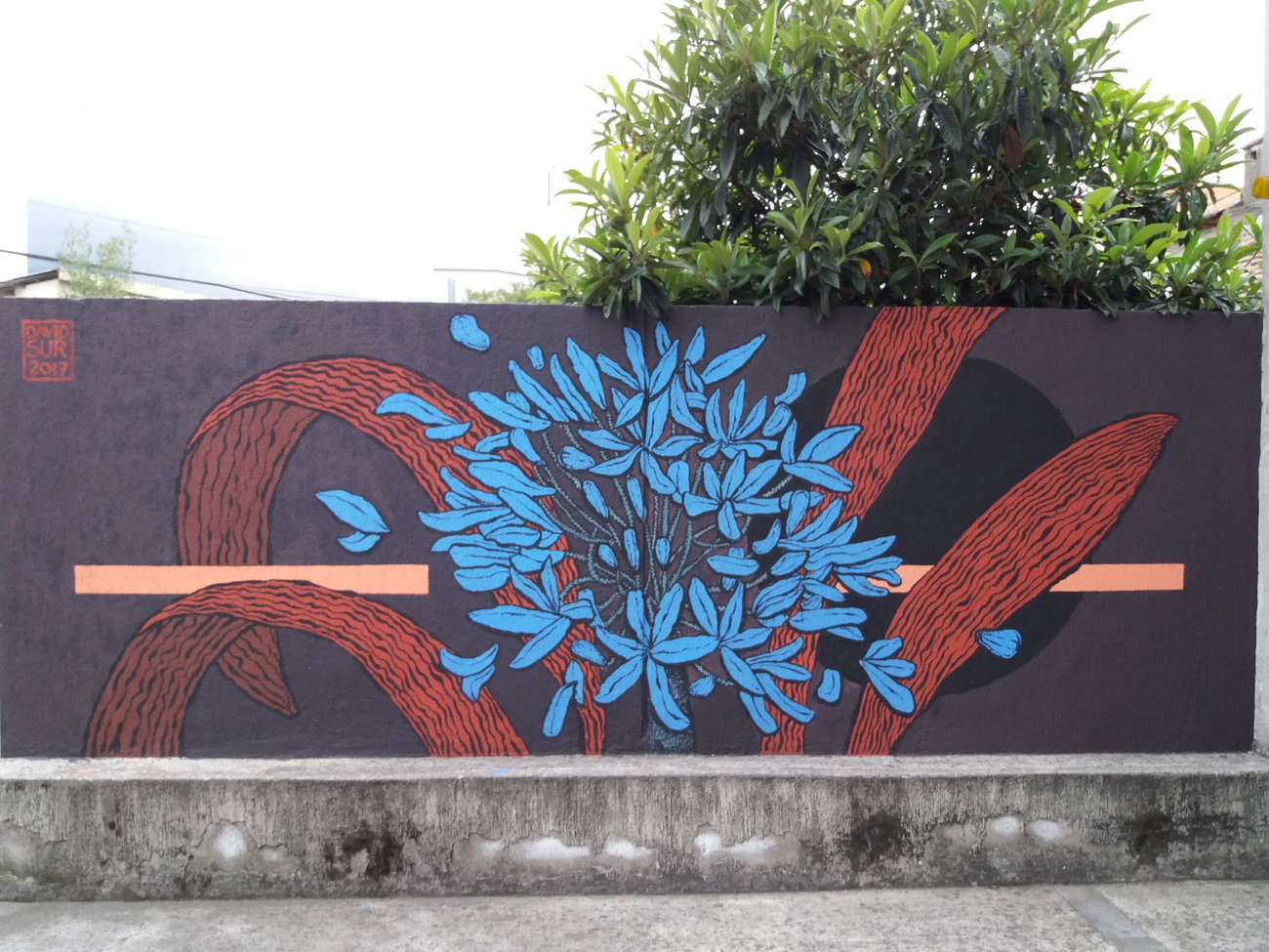 Graffiti Wall - Photo by Kindred