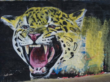 Graffiti Wall - Photo by Kindred