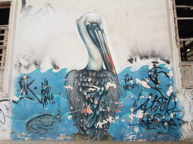 Graffiti Wall - Photo by Kindred