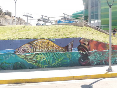 Graffiti Wall - Photo by Kindred