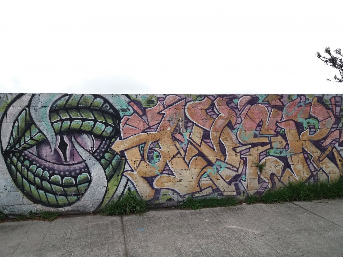 Graffiti Wall - Photo by Kindred