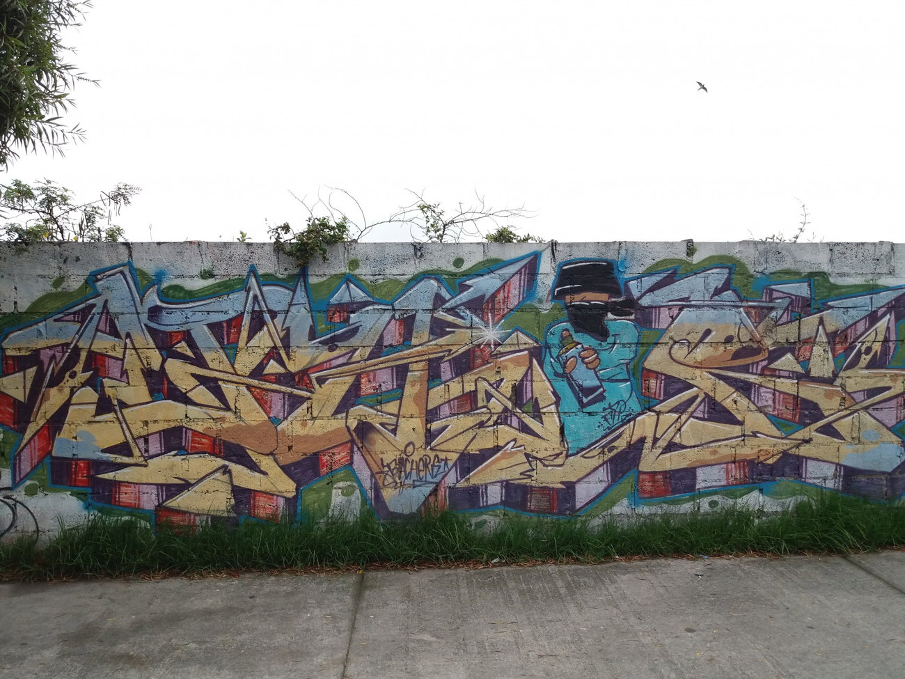 Graffiti Wall - Photo by Kindred