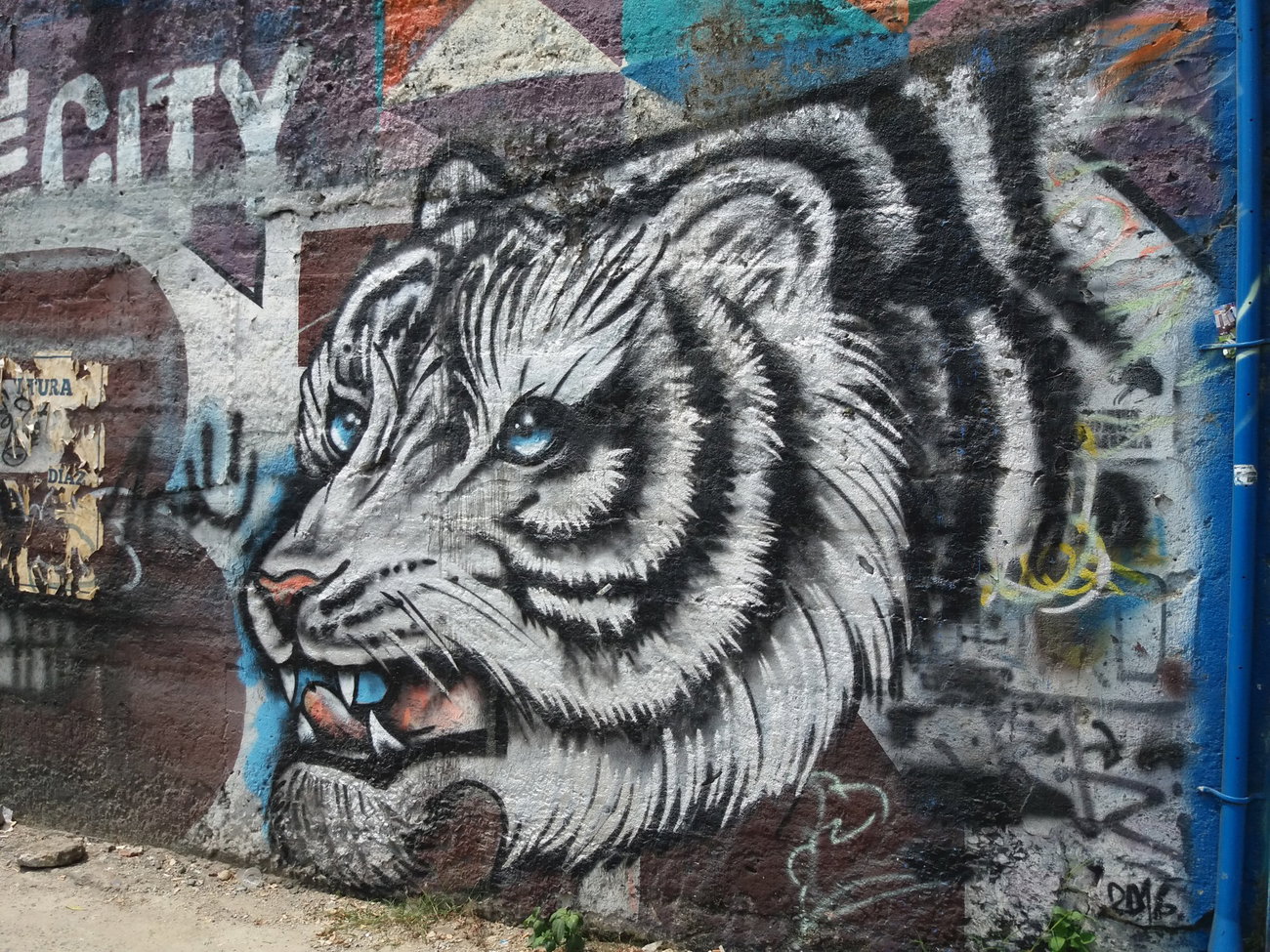 Graffiti Wall - Photo by Kindred