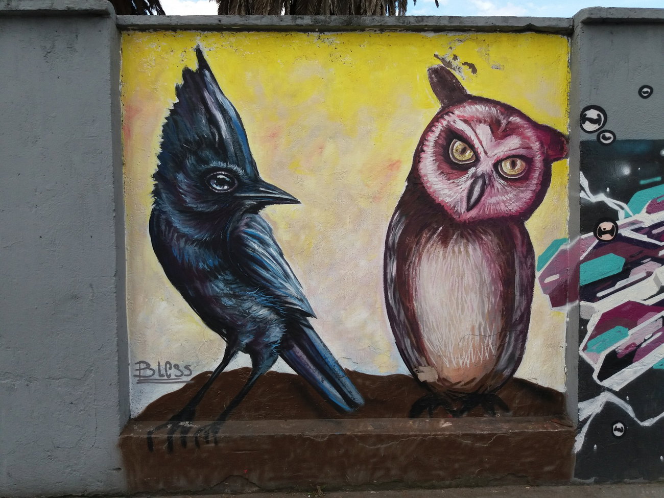 Graffiti Wall - Photo by Kindred