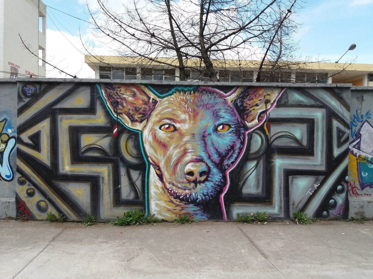 Graffiti Wall - Photo by Kindred