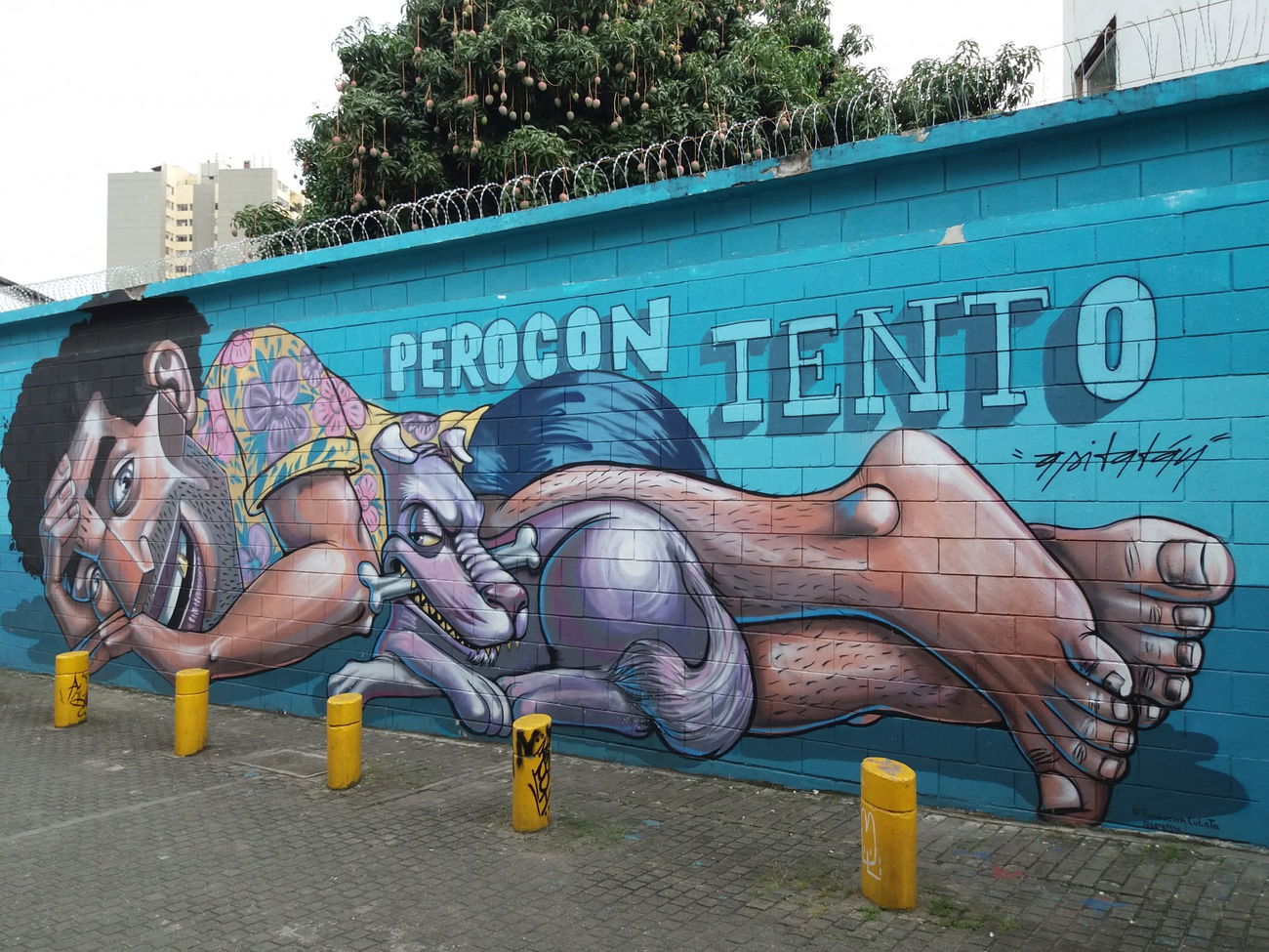 Graffiti Wall - Photo by Kindred