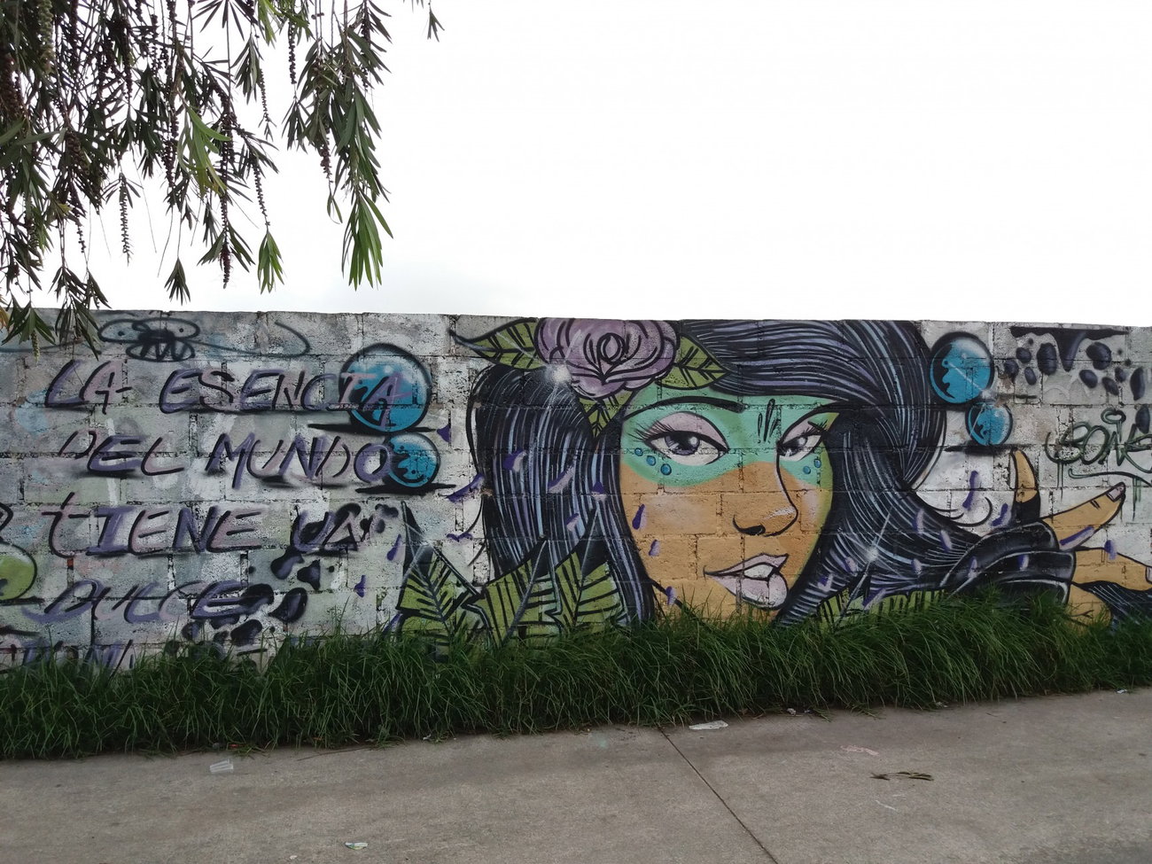 Graffiti Wall - Photo by Kindred