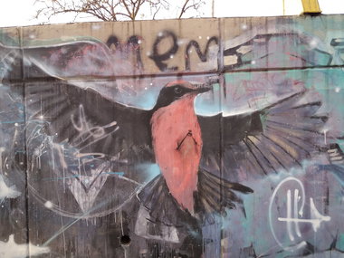 Graffiti Wall - Photo by Kindred