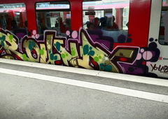 Graffiti Train in Hamburg - Photo by Kingzstyle - Round (2012)
