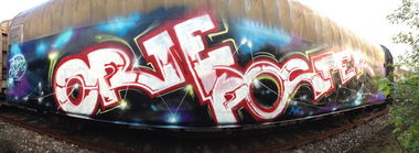 Graffiti Train in Germany - Photo by KlausKinski