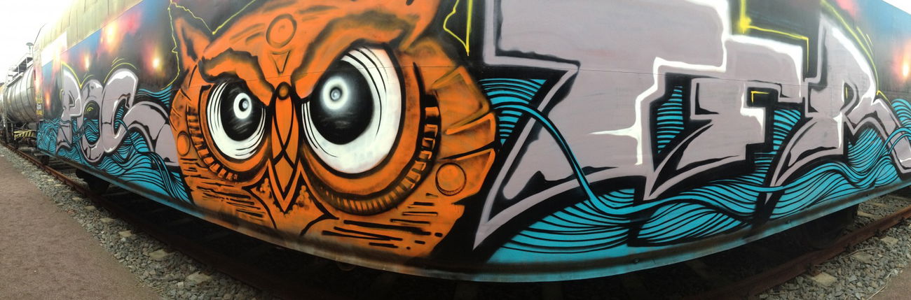 Graffiti Train in Germany - Photo by KlausKinski - Poster