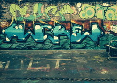 Photo #52695 by Scalp64