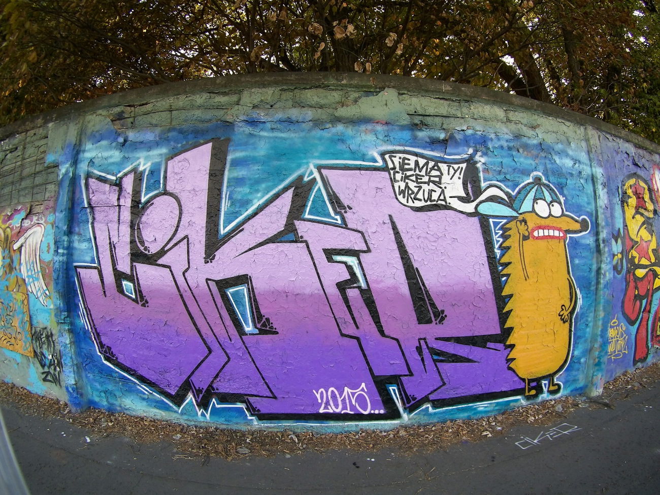 Graffiti Wall - Photo by Klimat - Ciker (2015)