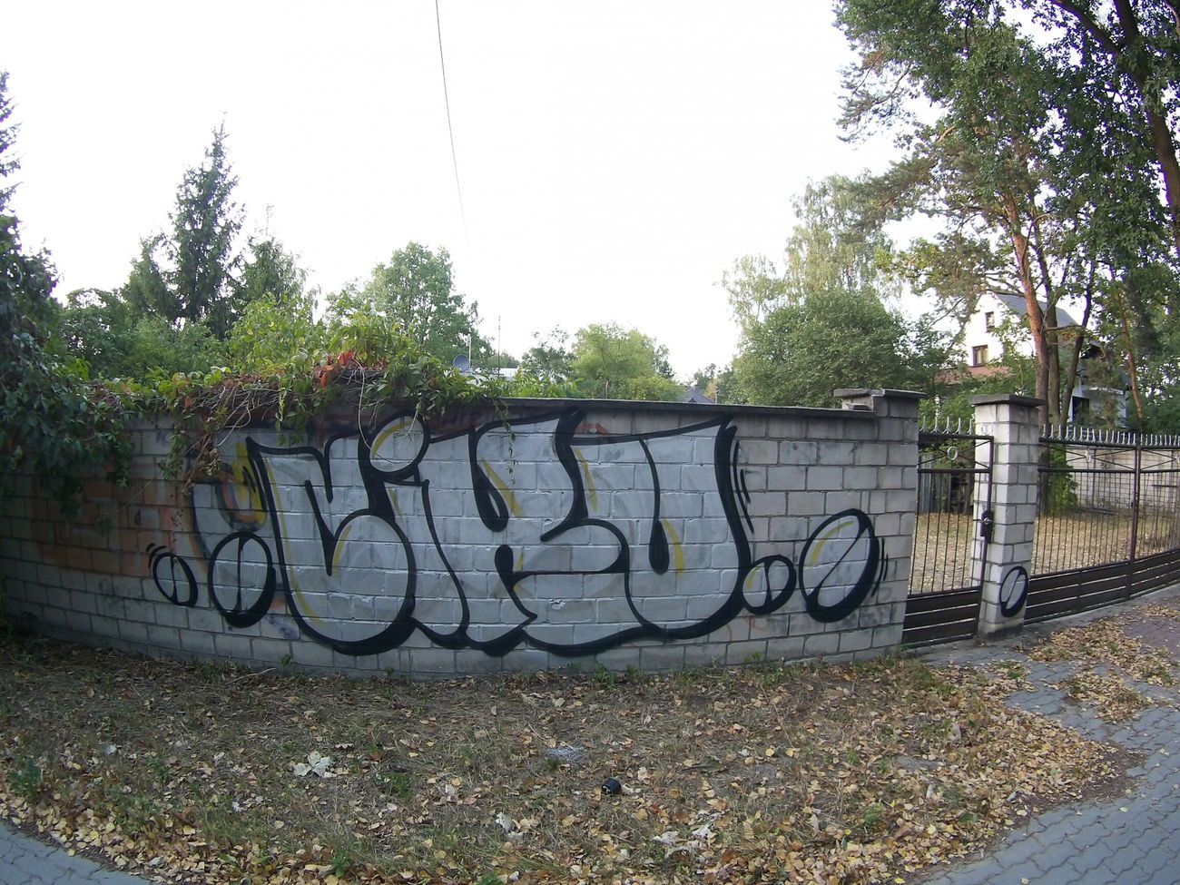 Graffiti Bombing - Photo by Klimat - Ciker